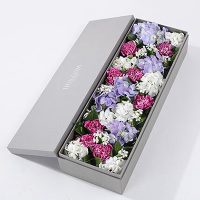 紫色白邊康乃馨8枝、白繡球1枝、藍紫色繡球1枝